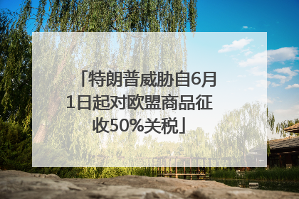 特朗普威胁自6月1日起对欧盟商品征收50%关税