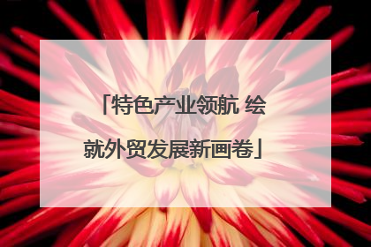 特色产业领航 绘就外贸发展新画卷