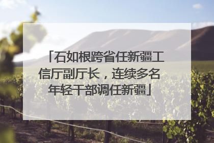 石如根跨省任新疆工信厅副厅长，连续多名年轻干部调任新疆