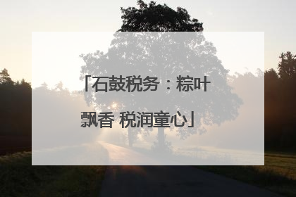 石鼓税务：粽叶飘香 税润童心