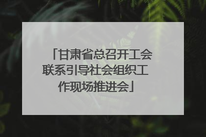甘肃省总召开工会联系引导社会组织工作现场推进会
