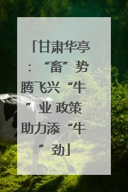 甘肃华亭：“畜”势腾飞兴“牛”业 政策助力添“牛”劲