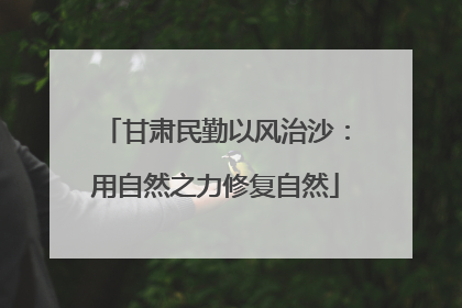 甘肃民勤以风治沙：用自然之力修复自然