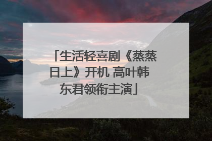 生活轻喜剧《蒸蒸日上》开机 高叶韩东君领衔主演