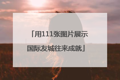 用111张图片展示国际友城往来成就