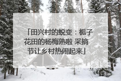 田兴村的蜕变：栀子花田的杨梅熟啦 采摘节让乡村热闹起来
