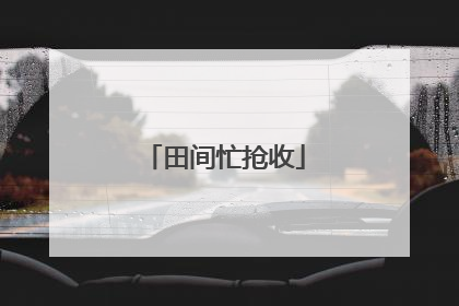 田间忙抢收