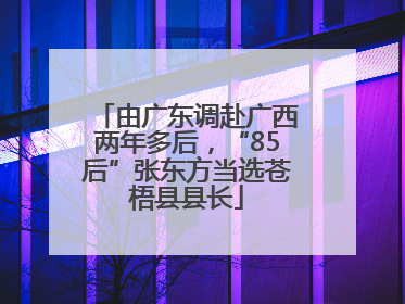 由广东调赴广西两年多后，“85后”张东方当选苍梧县县长