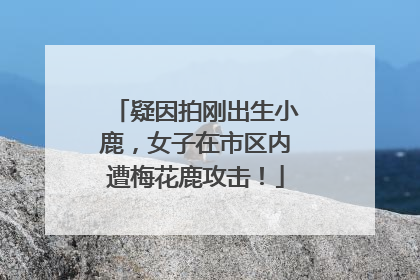 疑因拍刚出生小鹿，女子在市区内遭梅花鹿攻击！