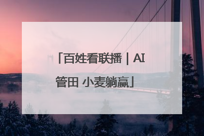 百姓看联播｜AI管田 小麦躺赢