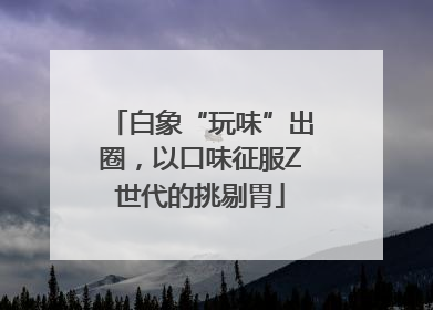 白象“玩味”出圈，以口味征服Z世代的挑剔胃