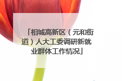 相城高新区（元和街道）人大工委调研新就业群体工作情况