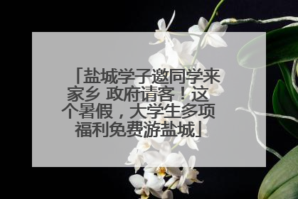 盐城学子邀同学来家乡 政府请客！这个暑假，大学生多项福利免费游盐城