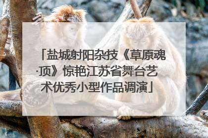 盐城射阳杂技《草原魂·顶》惊艳江苏省舞台艺术优秀小型作品调演