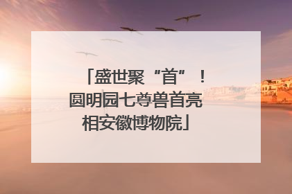 盛世聚“首”！圆明园七尊兽首亮相安徽博物院