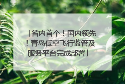 省内首个！国内领先！青岛低空飞行监管及服务平台完成部署