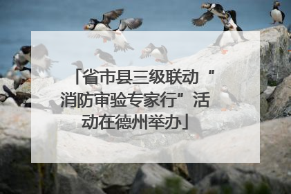 省市县三级联动“消防审验专家行”活动在德州举办