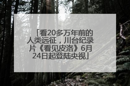 看20多万年前的人类远征，川台纪录片《看见皮洛》6月24日起登陆央视