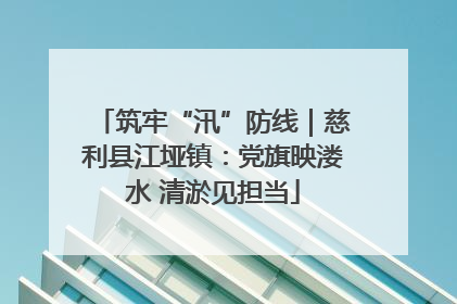 筑牢“汛”防线｜慈利县江垭镇：党旗映溇水 清淤见担当