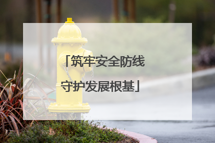 筑牢安全防线 守护发展根基