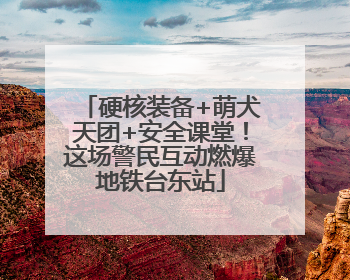 硬核装备+萌犬天团+安全课堂！这场警民互动燃爆地铁台东站