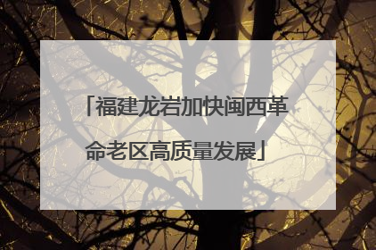 福建龙岩加快闽西革命老区高质量发展
