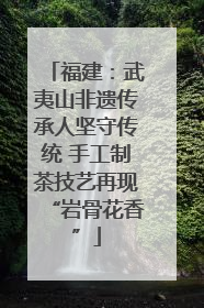 福建：武夷山非遗传承人坚守传统 手工制茶技艺再现“岩骨花香”