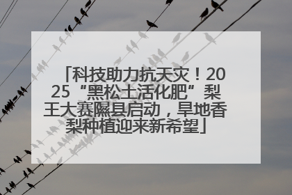 科技助力抗天灾！2025“黑松土活化肥”梨王大赛隰县启动，旱地香梨种植迎来新希望