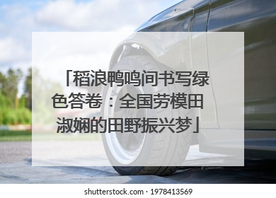 稻浪鸭鸣间书写绿色答卷：全国劳模田淑娴的田野振兴梦