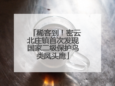 稀客到！密云北庄镇首次发现国家二级保护鸟类凤头鹰