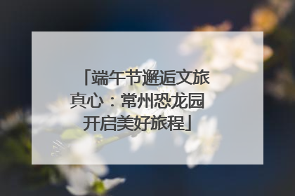 端午节邂逅文旅真心：常州恐龙园开启美好旅程