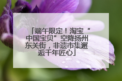 端午限定！淘宝“中国宝贝”空降扬州东关街，非遗市集邂逅千年匠心
