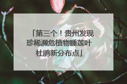 第三个！贵州发现珍稀濒危植物睡莲叶杜鹃新分布点