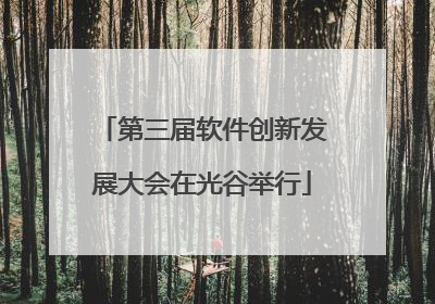 第三届软件创新发展大会在光谷举行