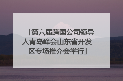 第六届跨国公司领导人青岛峰会山东省开发区专场推介会举行