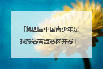第四届中国青少年足球联赛青海赛区开赛