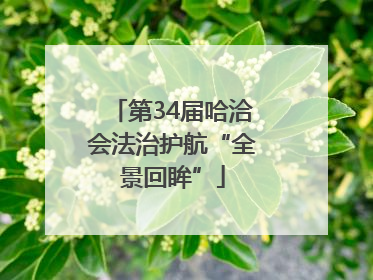 第34届哈洽会法治护航“全景回眸”