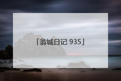 翁城日记 935