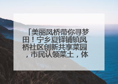 美丽凤桥带你寻梦田！宁乡夏铎铺镇凤桥社区创新共享菜园，市民认领菜土，体验耕种收获乐趣