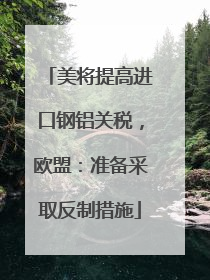 美将提高进口钢铝关税，欧盟：准备采取反制措施