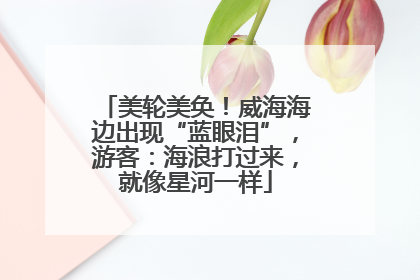 美轮美奂！威海海边出现“蓝眼泪”，游客：海浪打过来，就像星河一样