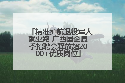 精准护航退役军人就业路 广西国企夏季招聘会释放超2000+优质岗位