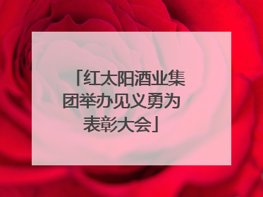 红太阳酒业集团举办见义勇为表彰大会