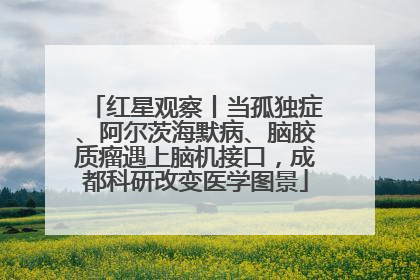 红星观察丨当孤独症、阿尔茨海默病、脑胶质瘤遇上脑机接口，成都科研改变医学图景