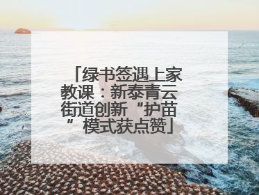 绿书签遇上家教课：新泰青云街道创新“护苗”模式获点赞