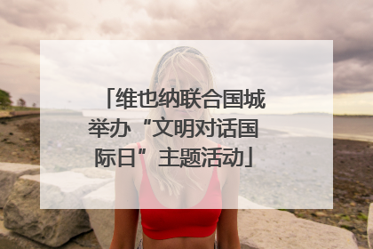 维也纳联合国城举办“文明对话国际日”主题活动