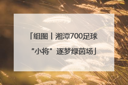 组图丨湘潭700足球“小将”逐梦绿茵场