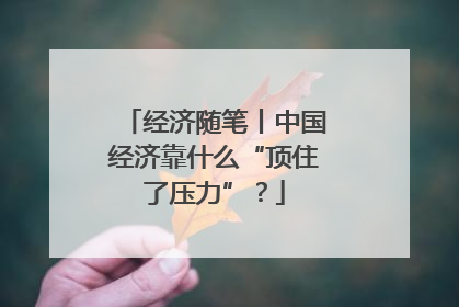 经济随笔丨中国经济靠什么“顶住了压力”？