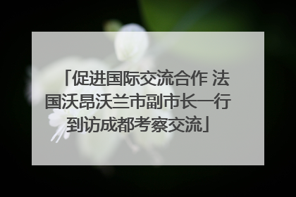 促进国际交流合作 法国沃昂沃兰市副市长一行到访成都考察交流