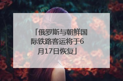 俄罗斯与朝鲜国际铁路客运将于6月17日恢复